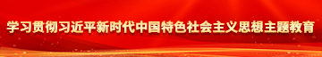 狠狠操bb学习贯彻习近平新时代中国特色社会主义思想主题教育